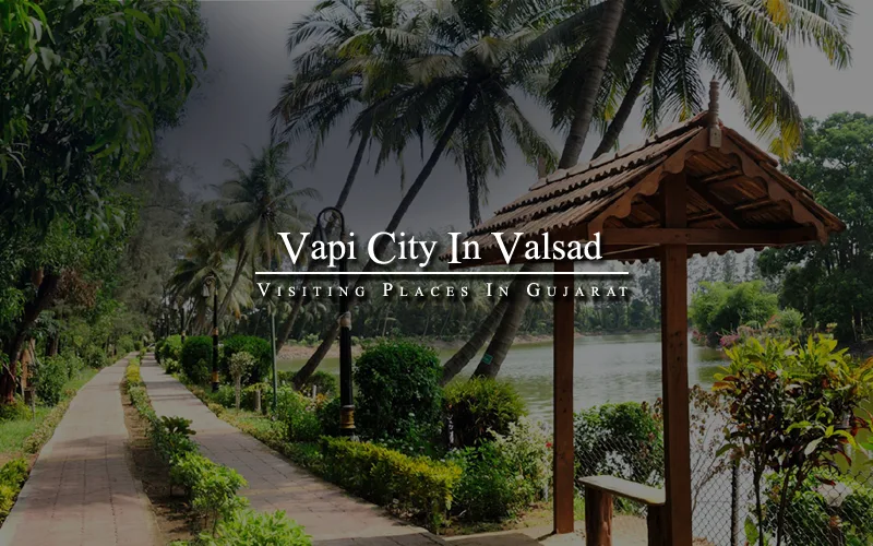 Vapi